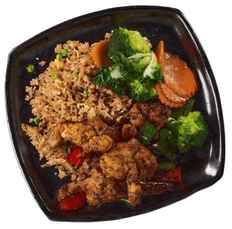 Combo 1 — one meat plus one vegetable